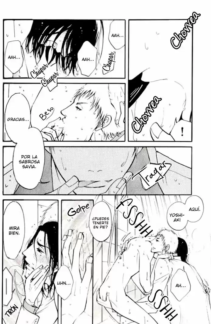Kare Otoko Ni Izumi O (2016) - Capítulo 0.2 - Página 31 - LectorTMOo