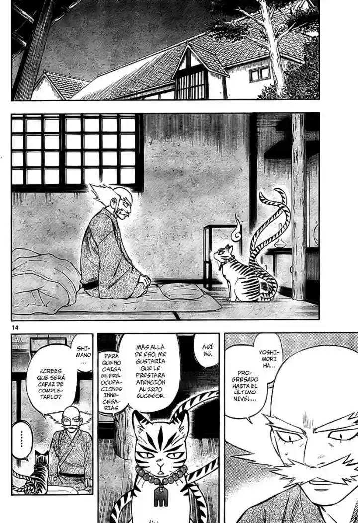 Kekkaishi (Manga) (2004) - Capítulo 248 - Página 14 - LectorTMOo