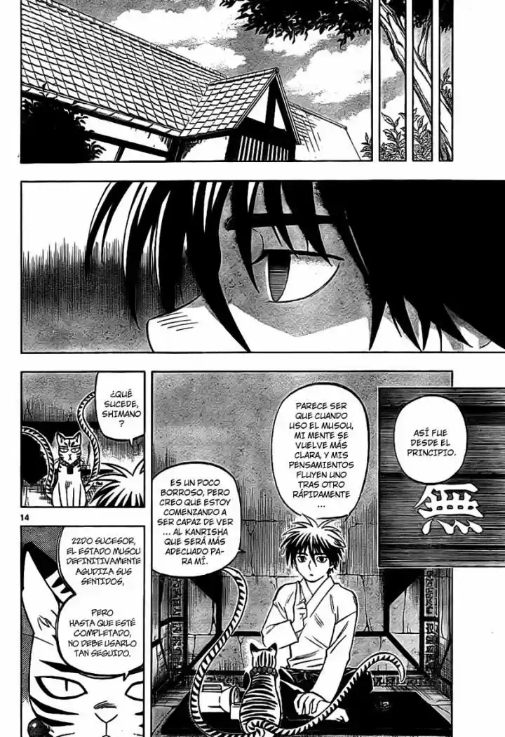 Kekkaishi (Manga) (2004) - Capítulo 252 - Página 14 - LectorTMOo