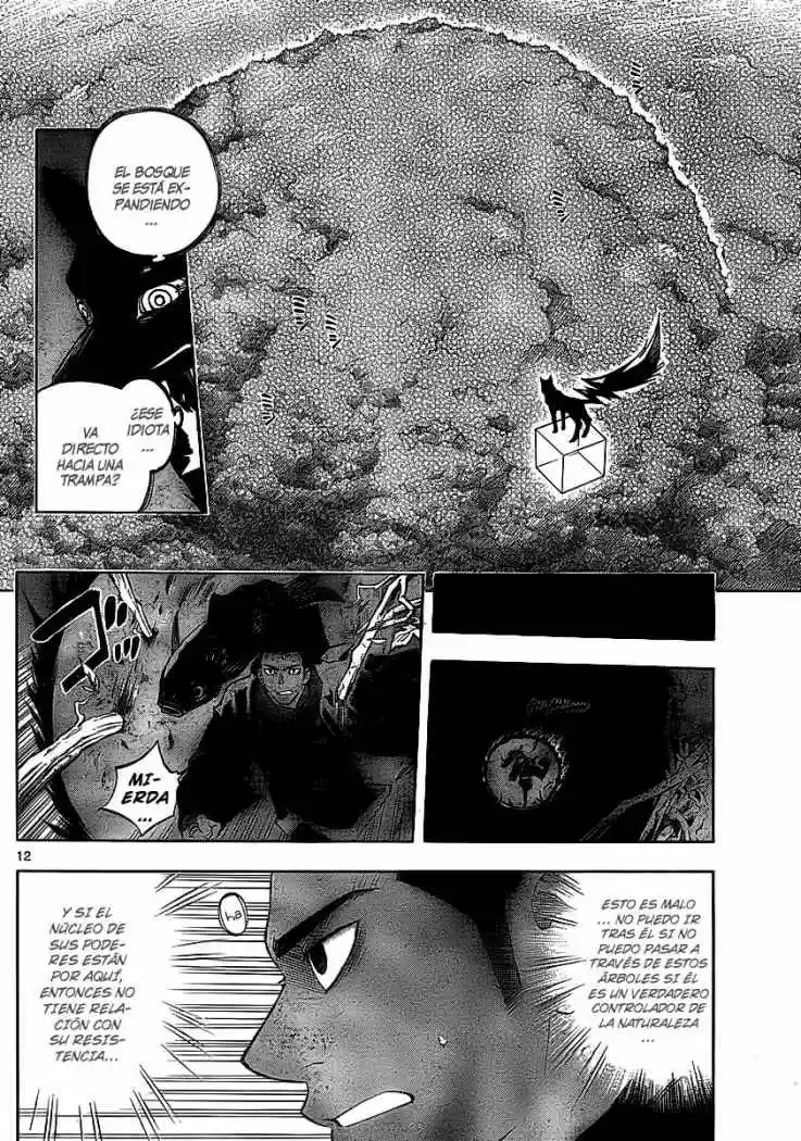 Kekkaishi (Manga) (2004) - Capítulo 269 - Página 12 - LectorTMOo