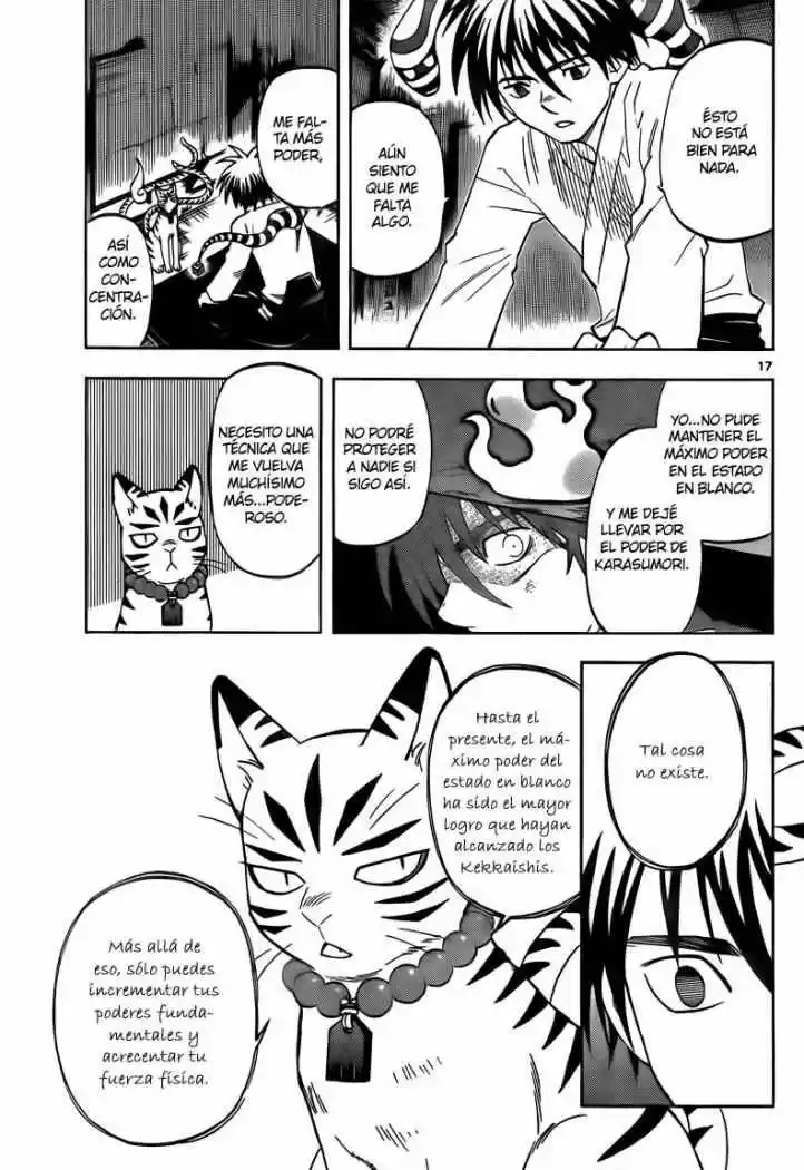 Kekkaishi (Manga) (2004) - Capítulo 281 - Página 17 - LectorTMOo