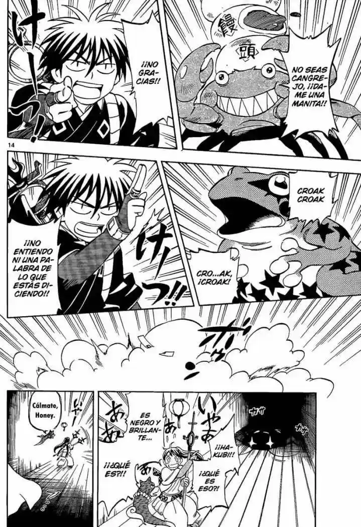 Kekkaishi (Manga) (2004) - Capítulo 288 - Página 14 - LectorTMOo