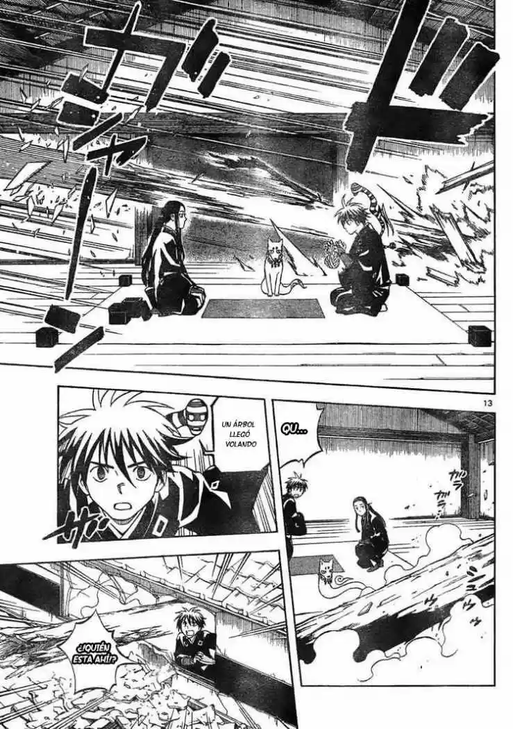 Kekkaishi (Manga) (2004) - Capítulo 294 - Página 14 - LectorTMOo