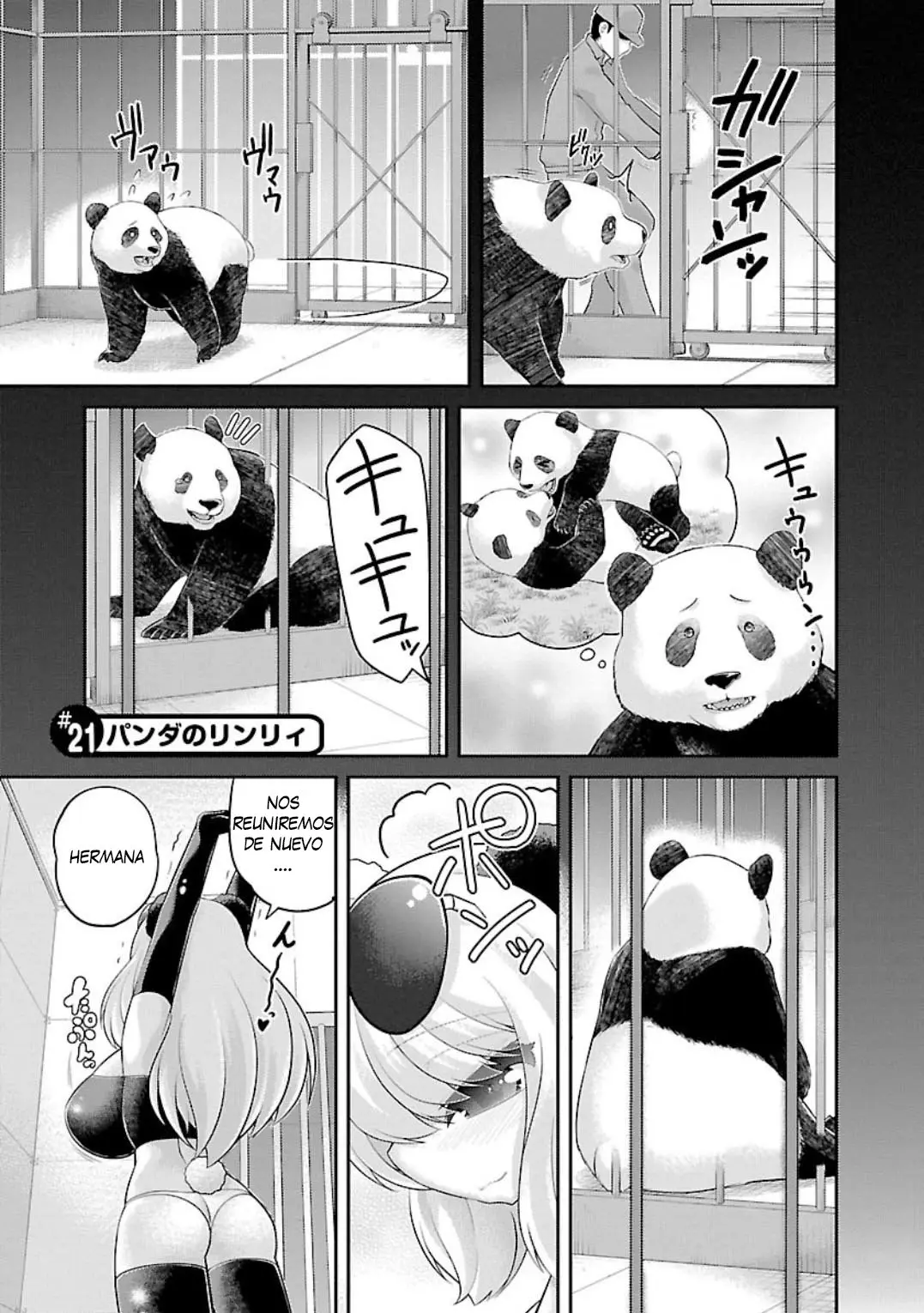 Kemokko Zoo! (2016) - Capítulo 21 - Página 3 - LectorTMOo
