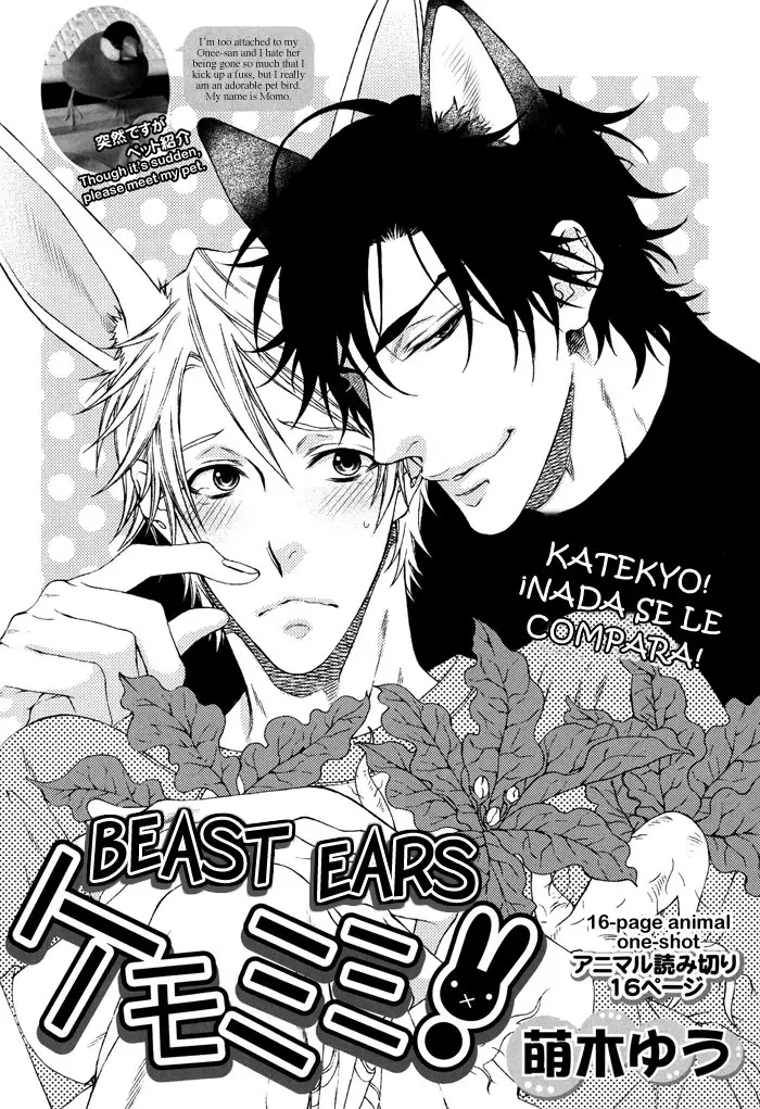 KEMOMIMI- Dj. Katekyo! (2009) - Capítulo 1 - Página 14 - LectorTMOo