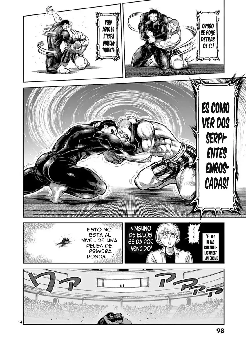 Kengan Ashura (2012) - Capítulo 113 - Página 15 - LectorTMOo