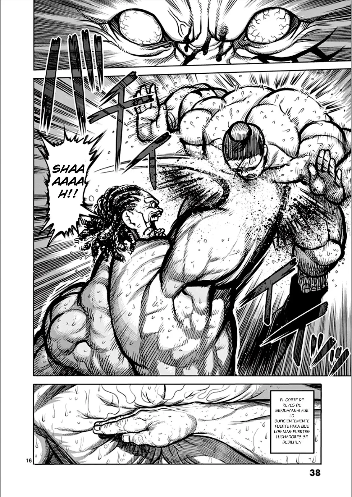 Kengan Ashura (2012) - Capítulo 76 - Página 17 - LectorTMOo