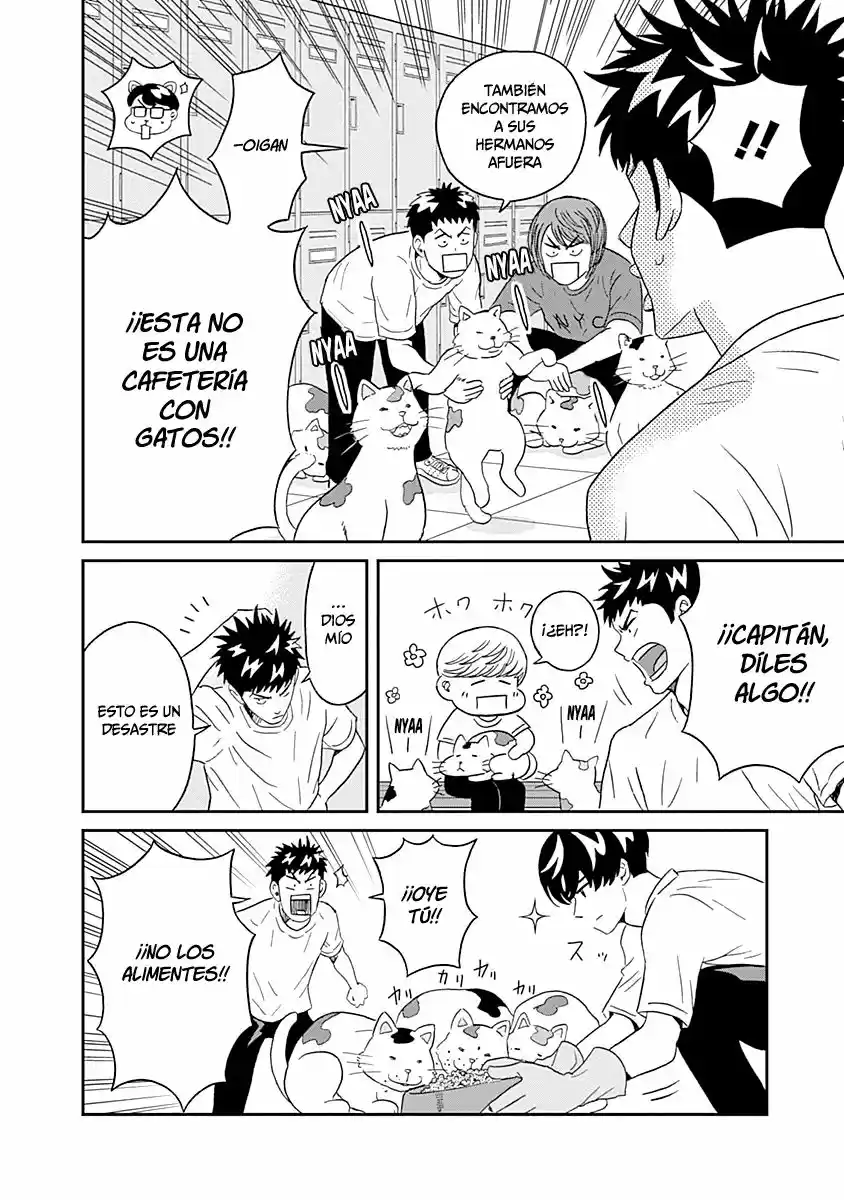 Keppeki Danshi! Aoyama-kun (2014) - Capítulo 12 - Página 17 - LectorTMOo
