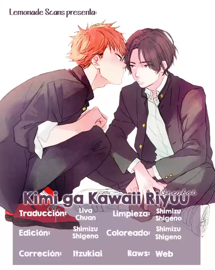 Kimi ga Kawaii Riyuu (2016) - Capítulo - Página 3 - LectorTMOo