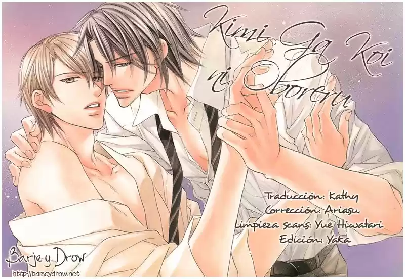 Kimi ga koi ni Oboreru (2016) - Capítulo 9 - Página 3 - LectorTMOo