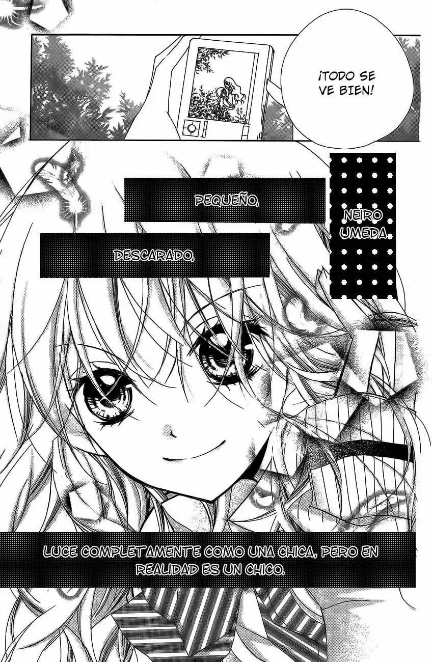 Kimi no Neiro! (2010) - Capítulo 16 - Página 38 - LectorTMOo
