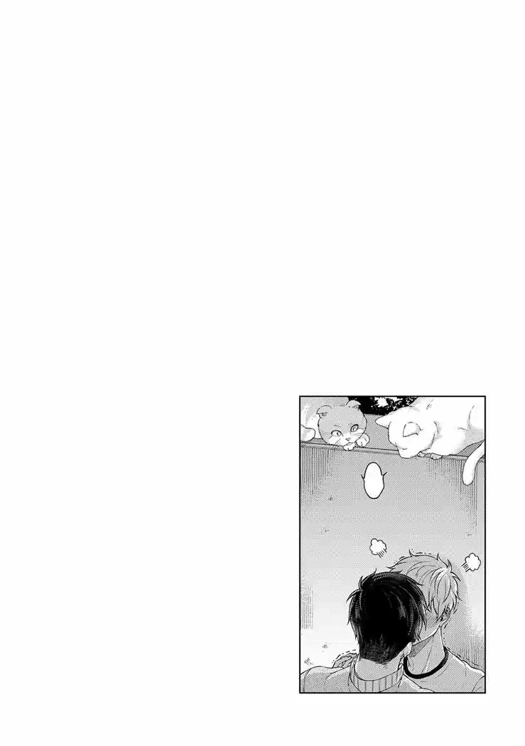 KIMI TO NO DOGFIGHT (2016) - Capítulo 5 - Página 33 - LectorTMOo
