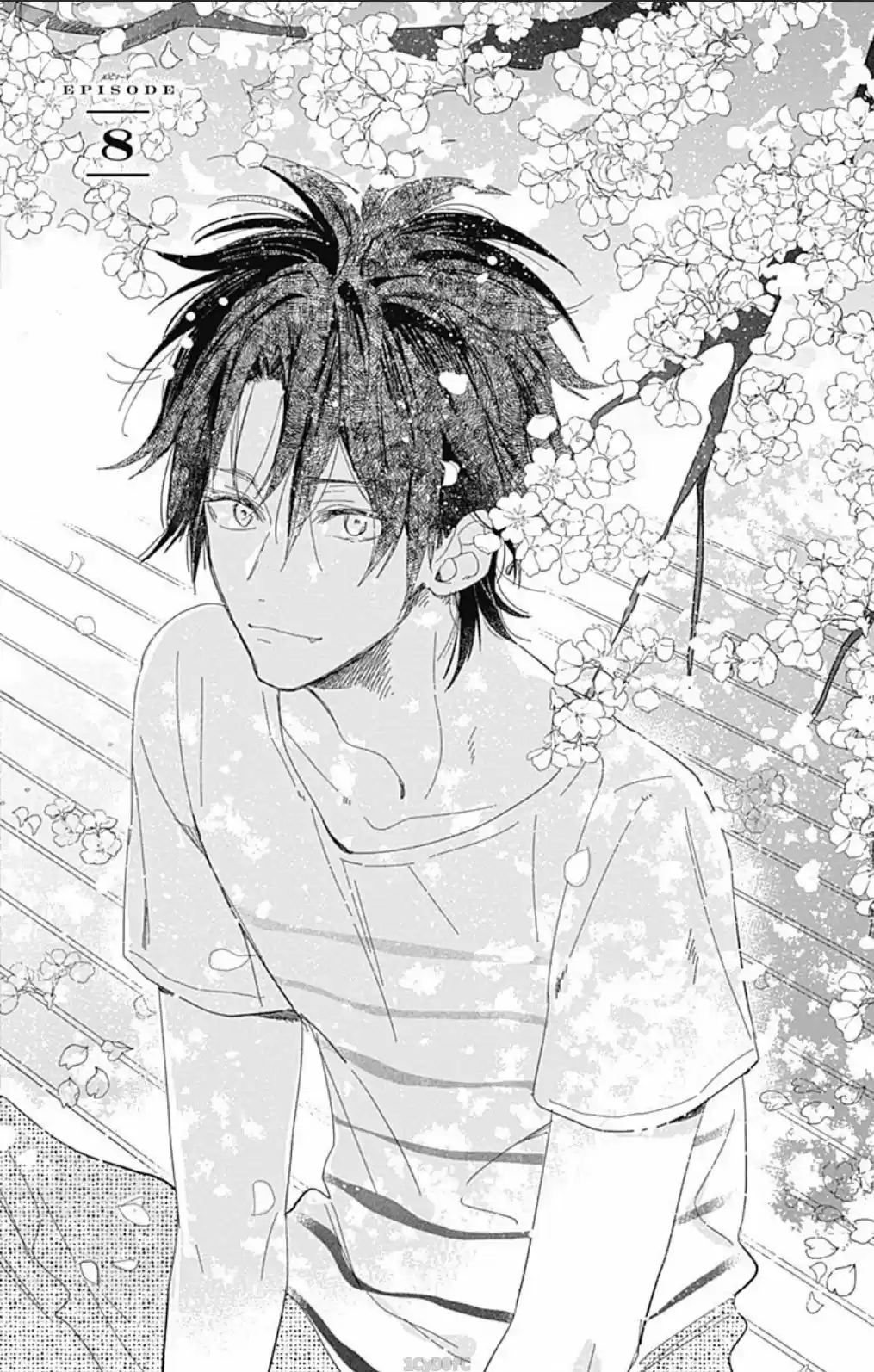 Kimi to Wonderland (2017) - Capítulo 8 - Página 5 - LectorTMOo