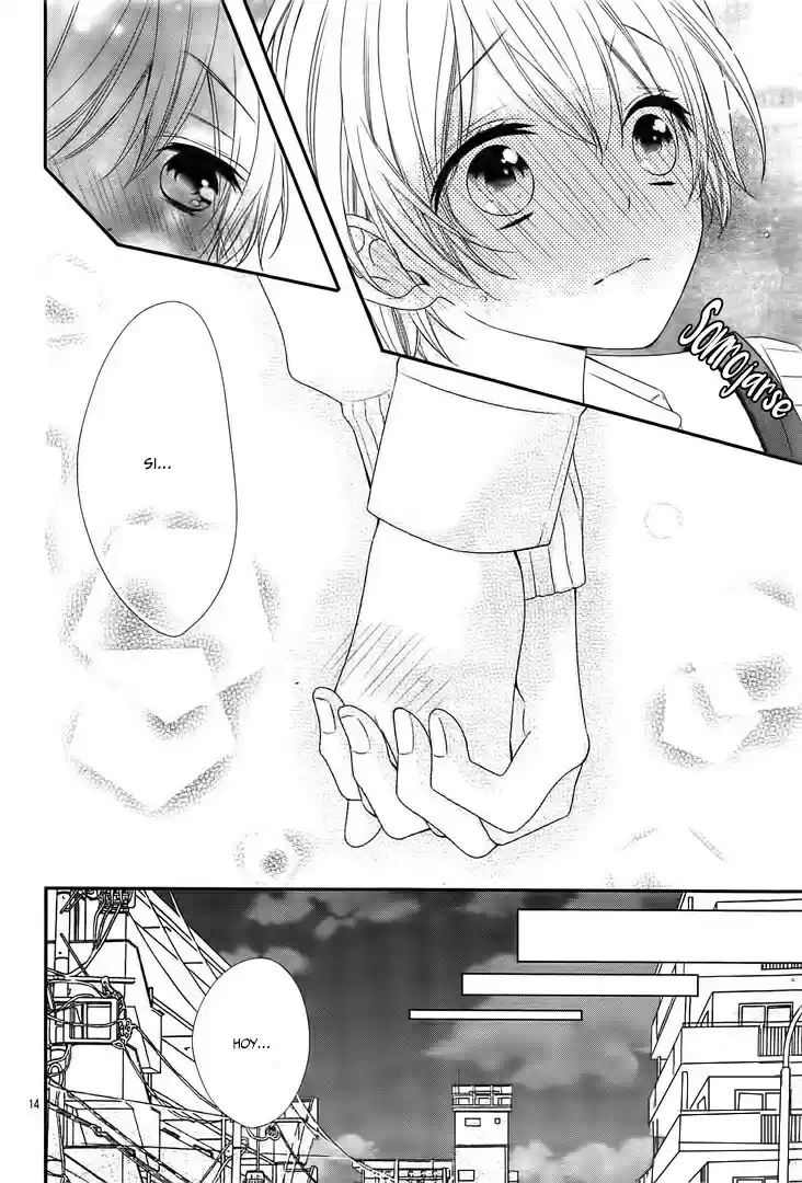 Kimi wa, Ore ga Suki Datte Ittara Donna Kao Suru Darou. (2016) - Capítulo 14 - Página 17 - LectorTMOo
