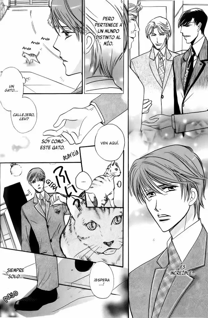 Kin no Ouji to Gin no Ou (2016) - Capítulo 3 - Página 6 - LectorTMOo