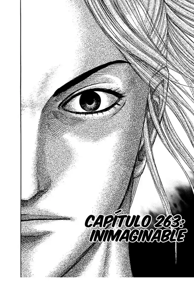 Kingdom (Manga) (2006) - Capítulo 263 - Página 3 - LectorTMOo