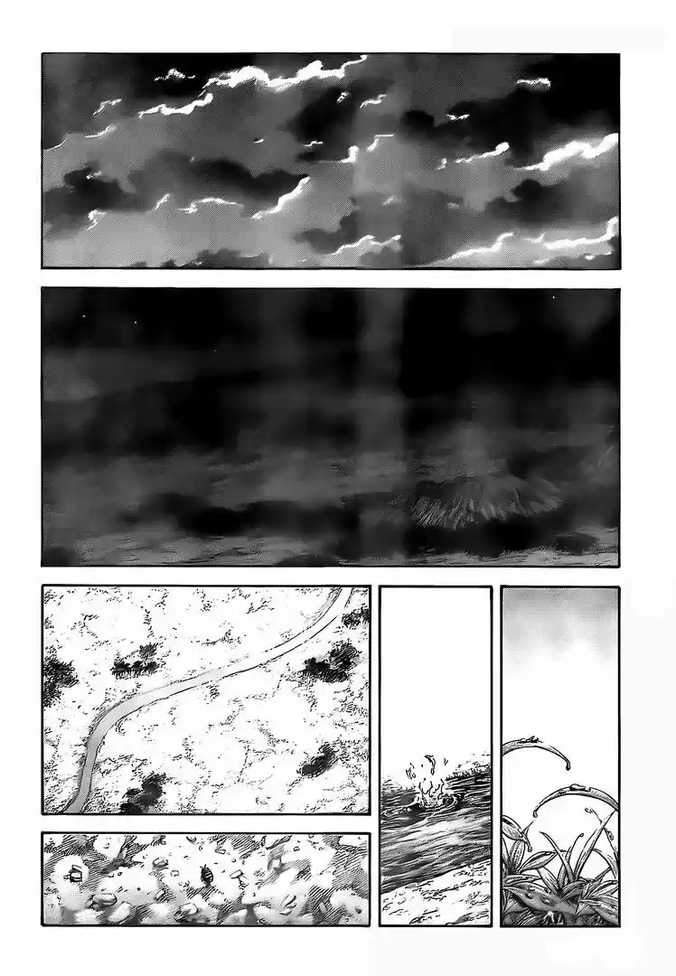 Kingdom (Manga) (2006) - Capítulo 482 - Página 14 - LectorTMOo
