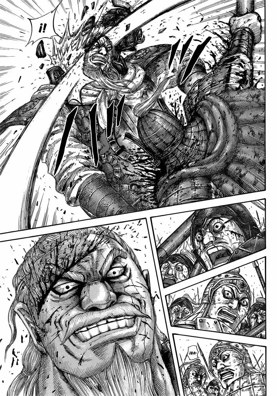 Kingdom (Manga) (2006) - Capítulo 559 - Página 15 - LectorTMOo
