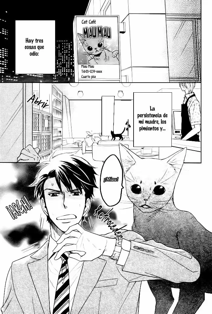 Kirakira no Hibi (2016) - Capítulo 4 - Página 6 - LectorTMOo