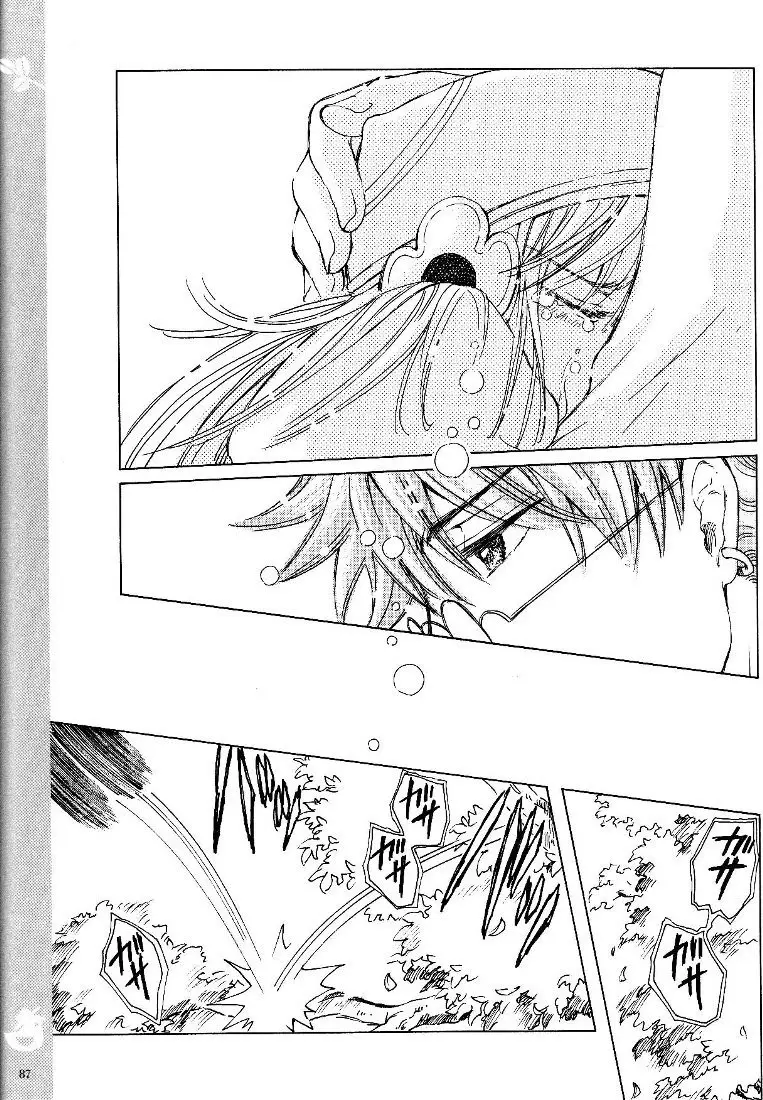 Kobato (2004) - Capítulo 22.1 - Página 13 - LectorTMOo