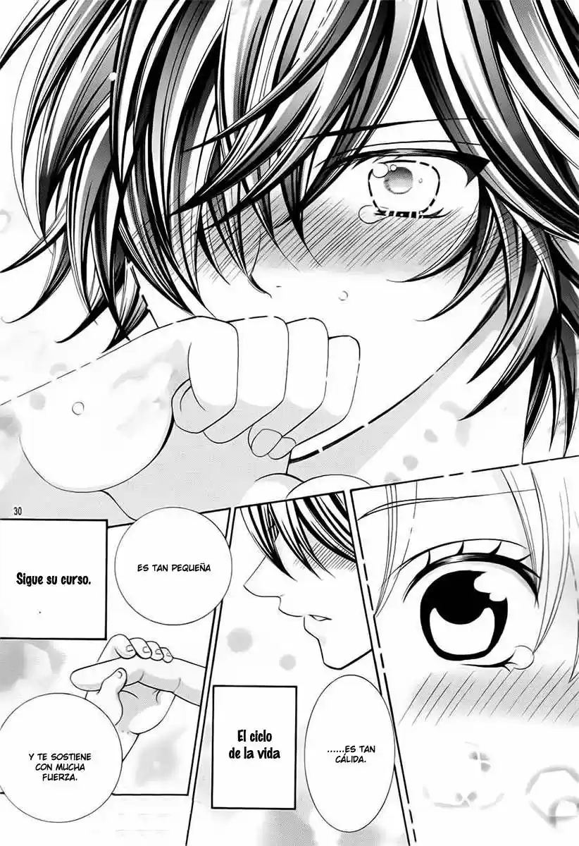 Kobayashi ga Kawai Sugite Tsurai!! (2012) - Capítulo 72 - Página 31 - LectorTMOo