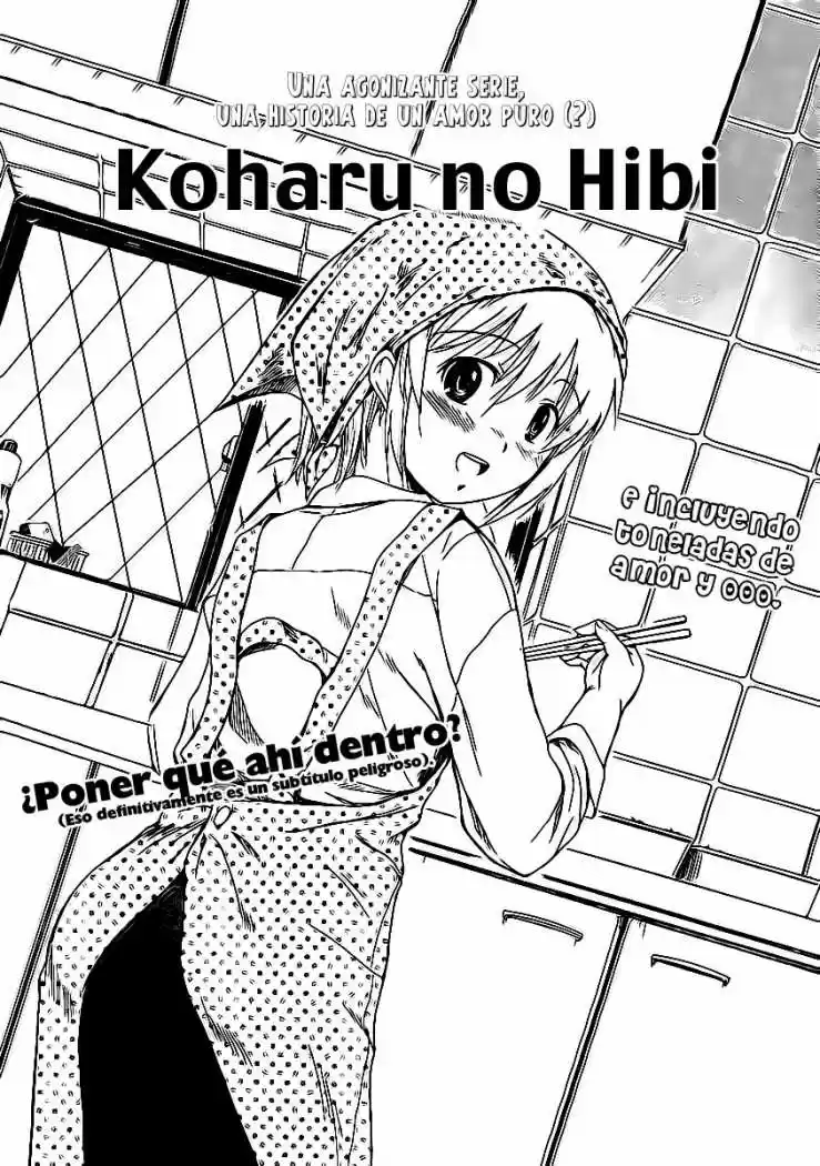 Koharu no Hibi (2009) - Capítulo 4 - Página 2 - LectorTMOo