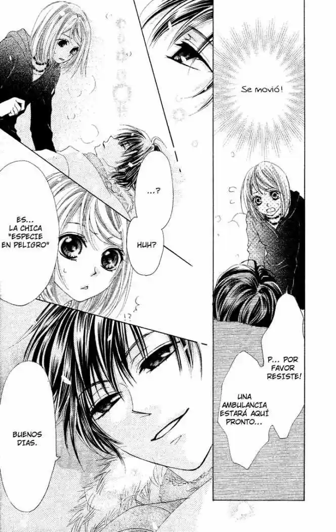 Koi, Hirari (2008) - Capítulo 1 - Página 19 - LectorTMOo
