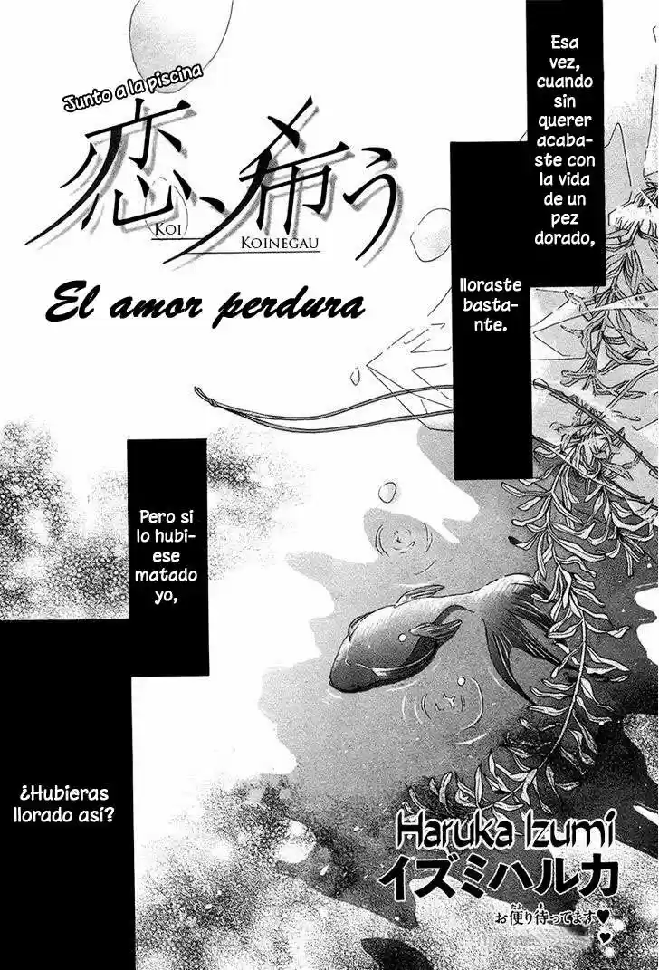 Koi Koinegau (2013) - Capítulo 1 - Página 3 - LectorTMOo