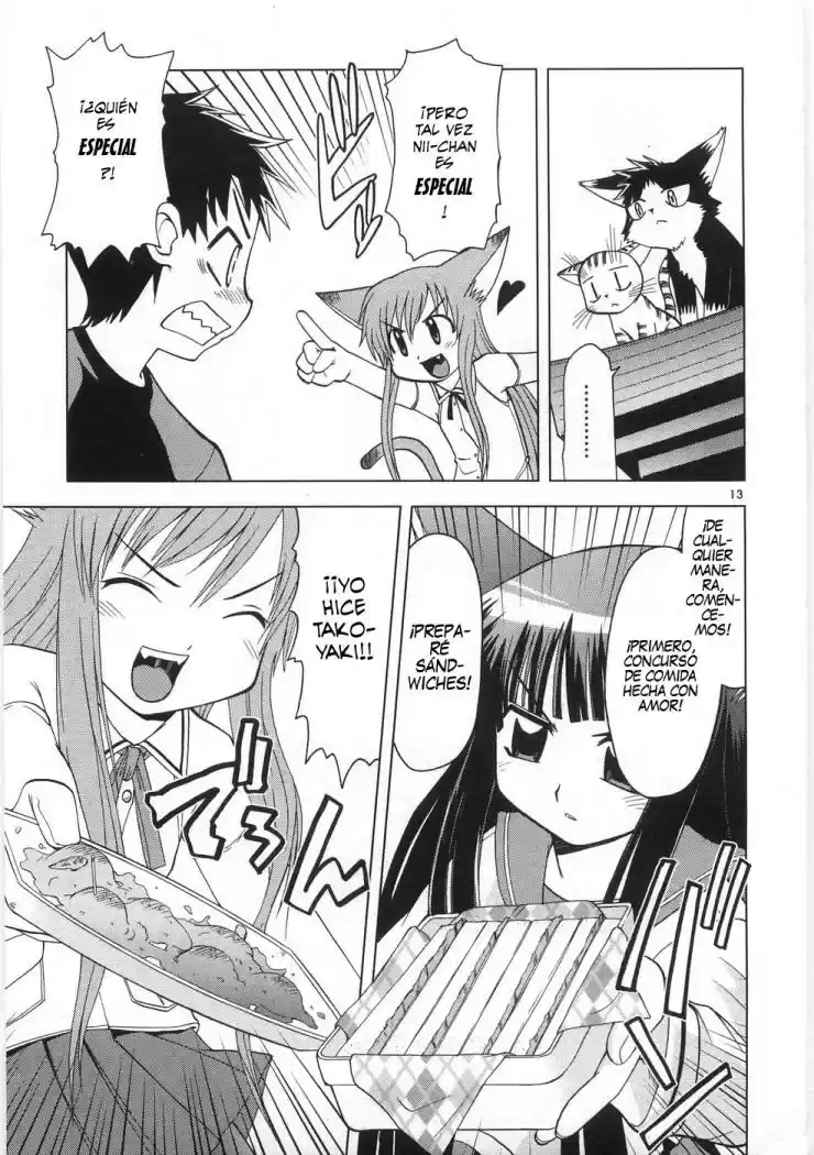 Koi Neko (2004) - Capítulo 10 - Página 14 - LectorTMOo