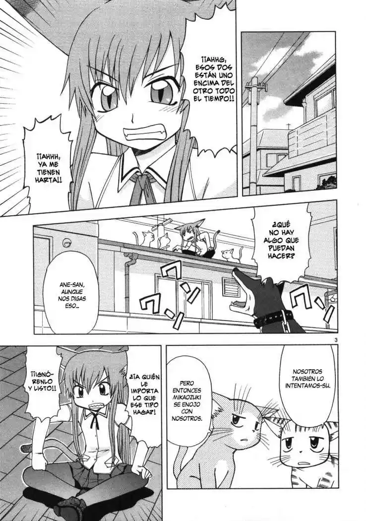 Koi Neko (2004) - Capítulo 13 - Página 4 - LectorTMOo