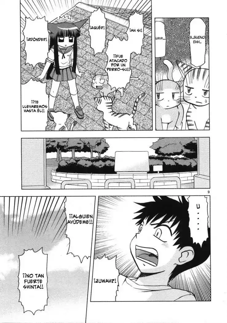 Koi Neko (2004) - Capítulo 13 - Página 10 - LectorTMOo