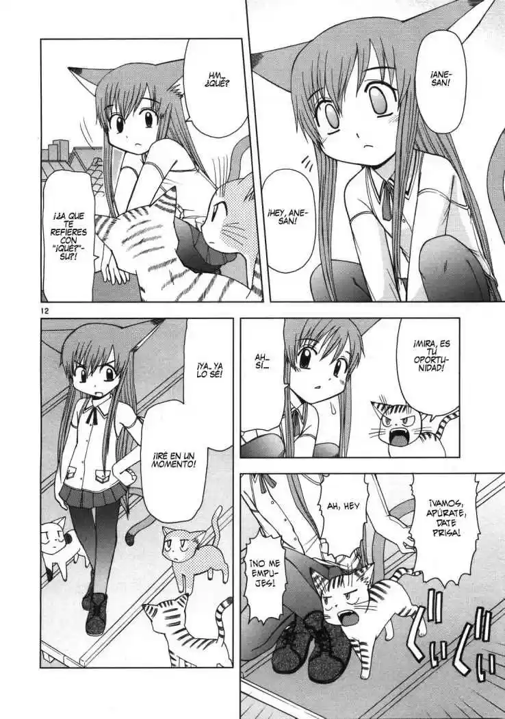 Koi Neko (2004) - Capítulo 14 - Página 12 - LectorTMOo