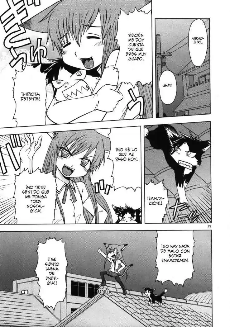 Koi Neko (2004) - Capítulo 14 - Página 19 - LectorTMOo