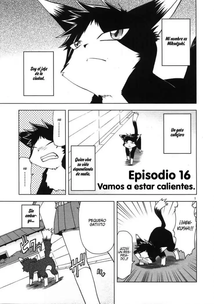 Koi Neko (2004) - Capítulo 16 - Página 2 - LectorTMOo
