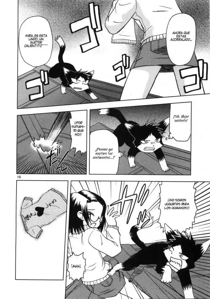Koi Neko (2004) - Capítulo 16 - Página 11 - LectorTMOo