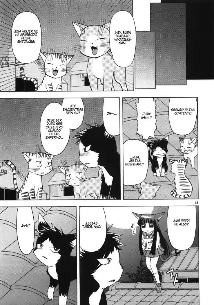 Koi Neko (2004) - Capítulo 16 - Página 14 - LectorTMOo