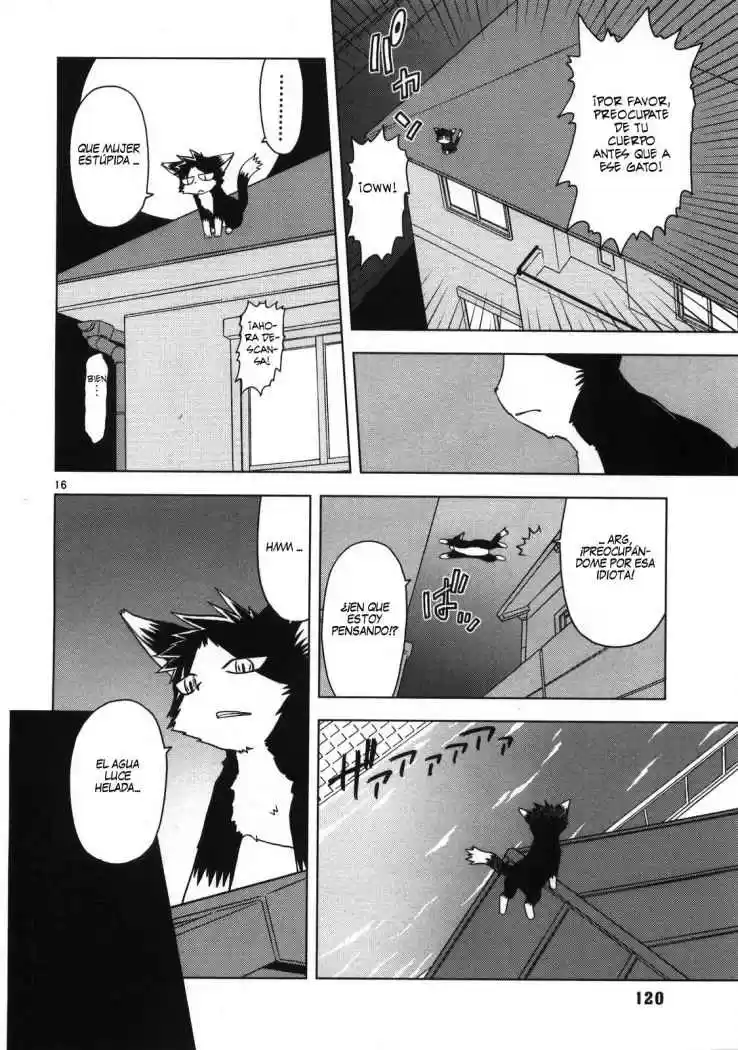 Koi Neko (2004) - Capítulo 16 - Página 17 - LectorTMOo