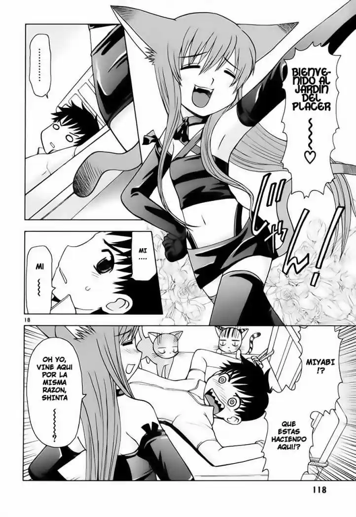 Koi Neko (2004) - Capítulo 24 - Página 19 - LectorTMOo