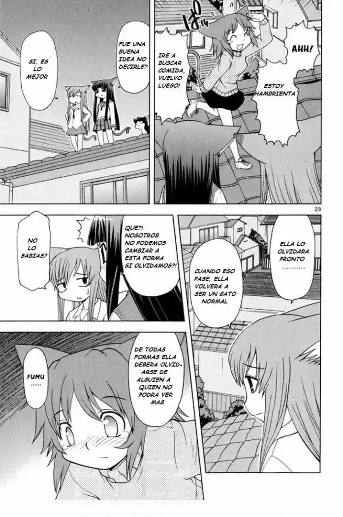 Koi Neko (2004) - Capítulo 26 - Página 25 - LectorTMOo