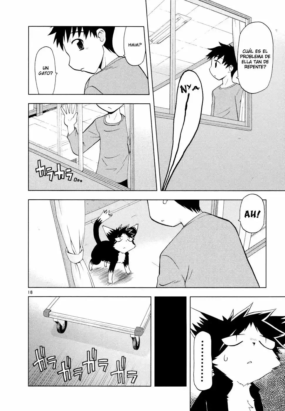 Koi Neko (2004) - Capítulo 33 - Página 19 - LectorTMOo