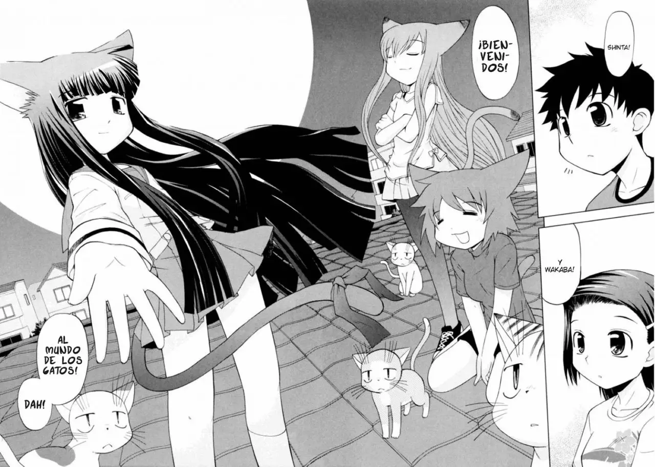 Koi Neko (2004) - Capítulo 38 - Página 24 - LectorTMOo