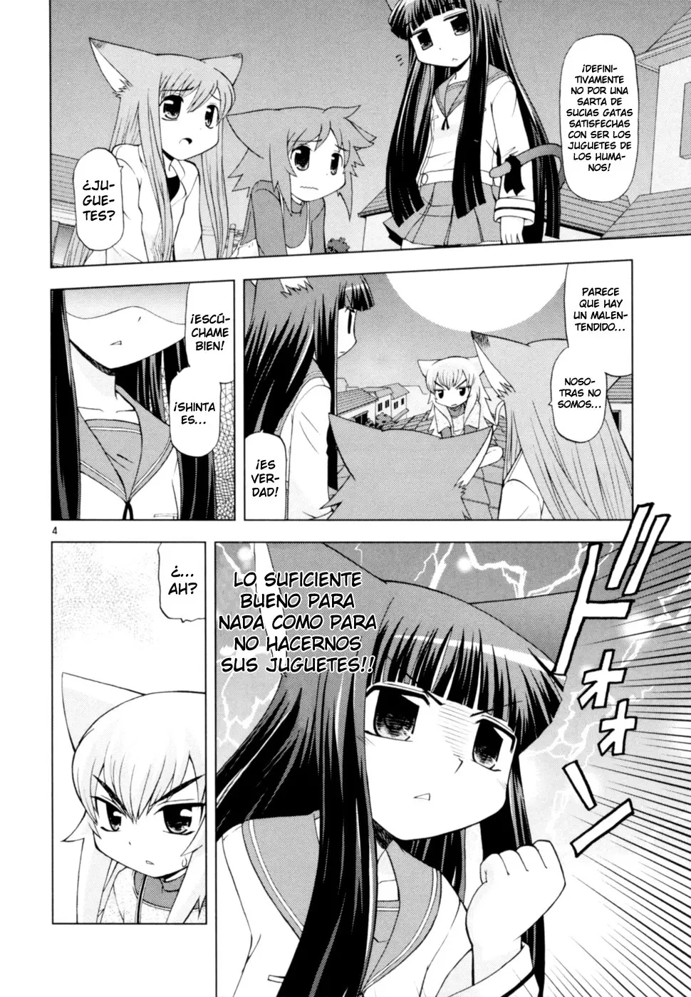 Koi Neko (2004) - Capítulo 41 - Página 5 - LectorTMOo