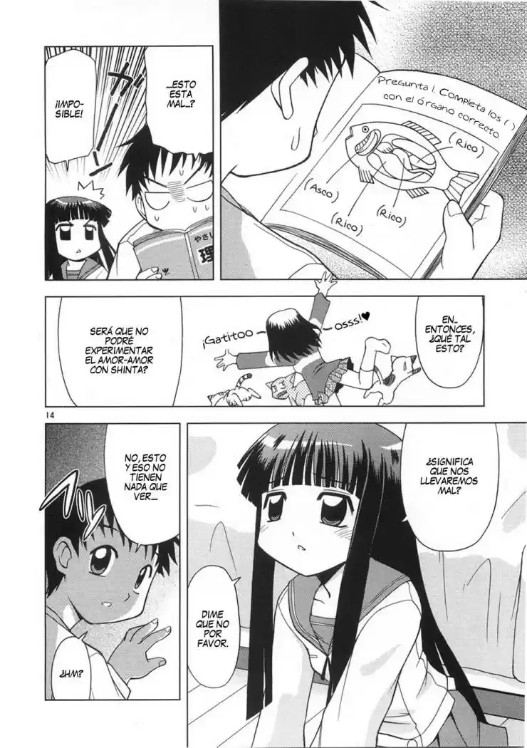 Koi Neko (2004) - Capítulo 8 - Página 17 - LectorTMOo
