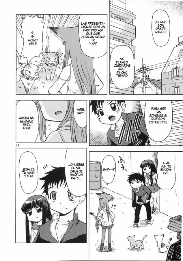 Koi Neko (2004) - Capítulo 9 - Página 15 - LectorTMOo