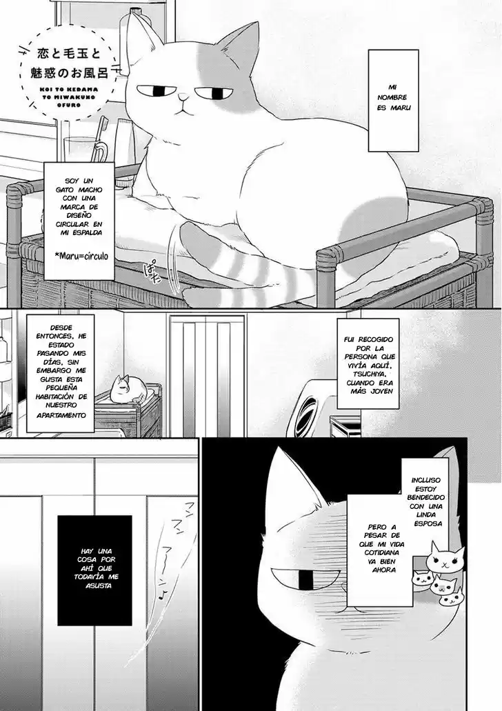 KOI TO KEDAMA TO OTONARI-SAN (2017) - Capítulo 3 - Página 1 - LectorTMOo