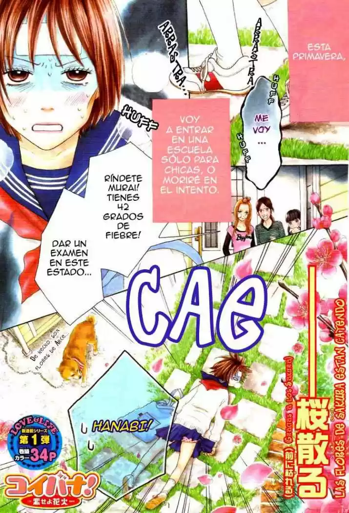 Koibana! Koiseyo Hanabi (2007) - Capítulo 1 - Página 1 - LectorTMOo