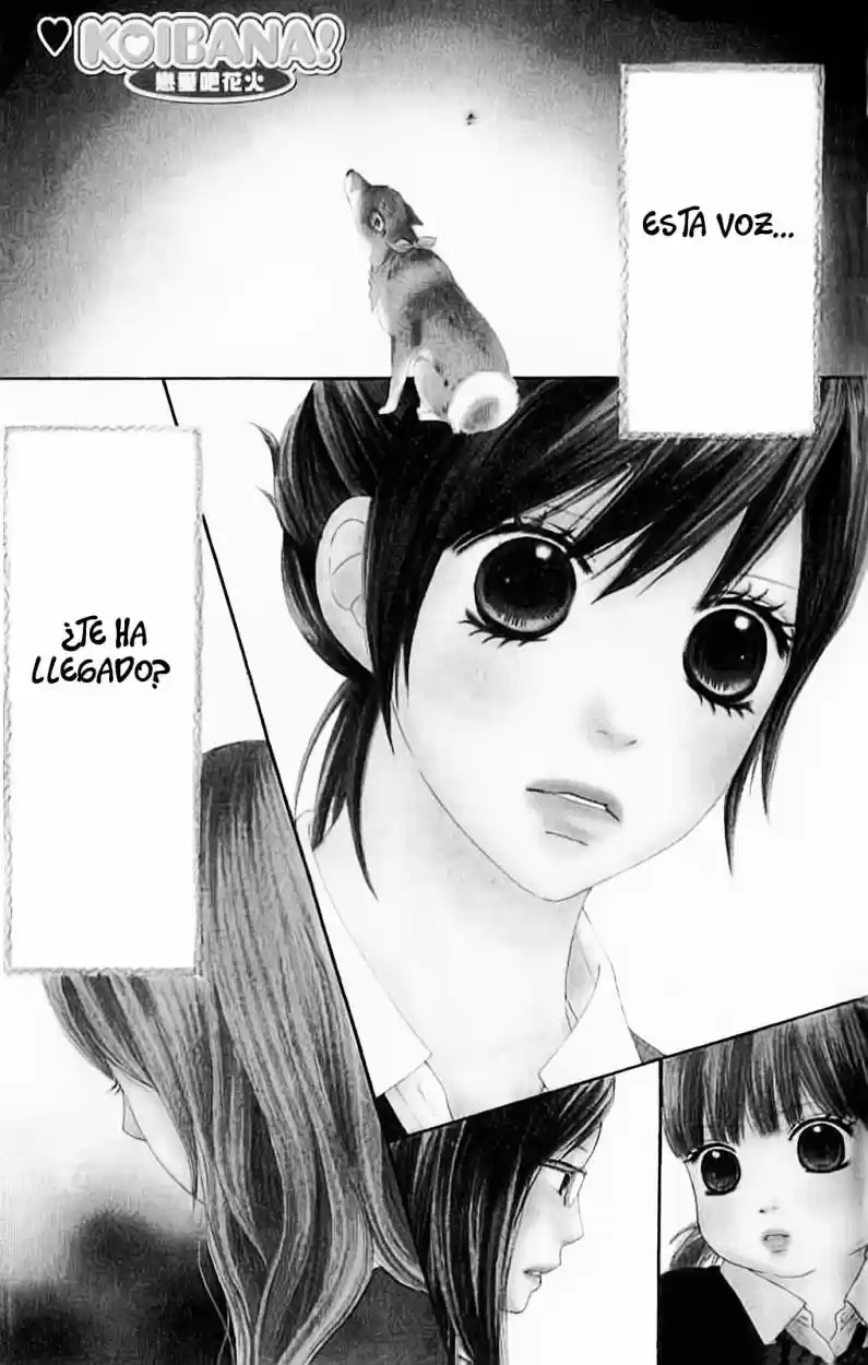 Koibana! Koiseyo Hanabi (2007) - Capítulo 33 - Página 2 - LectorTMOo