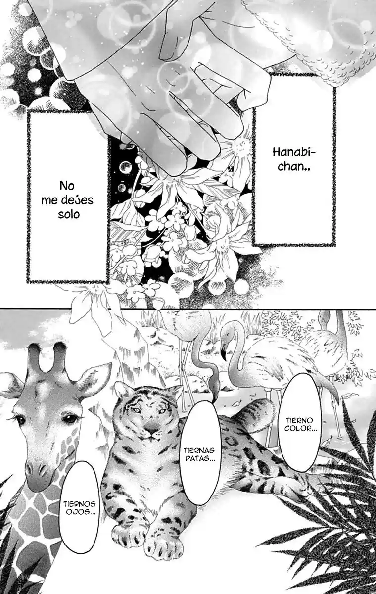 Koibana! Koiseyo Hanabi (2007) - Capítulo 40 - Página 6 - LectorTMOo