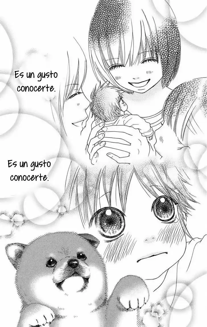 Koibana! Koiseyo Hanabi (2007) - Capítulo 53 - Página 41 - LectorTMOo
