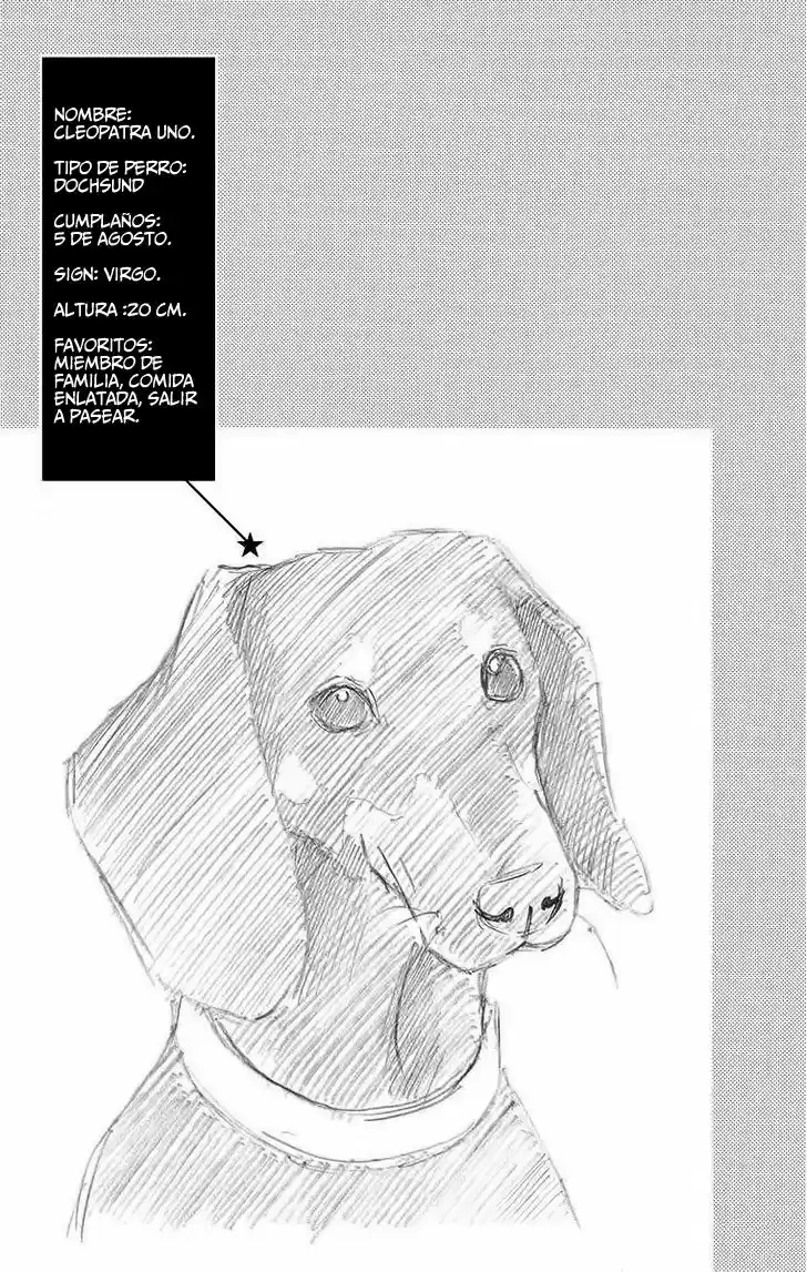 Koibana! Koiseyo Hanabi (2007) - Capítulo 53 - Página 45 - LectorTMOo